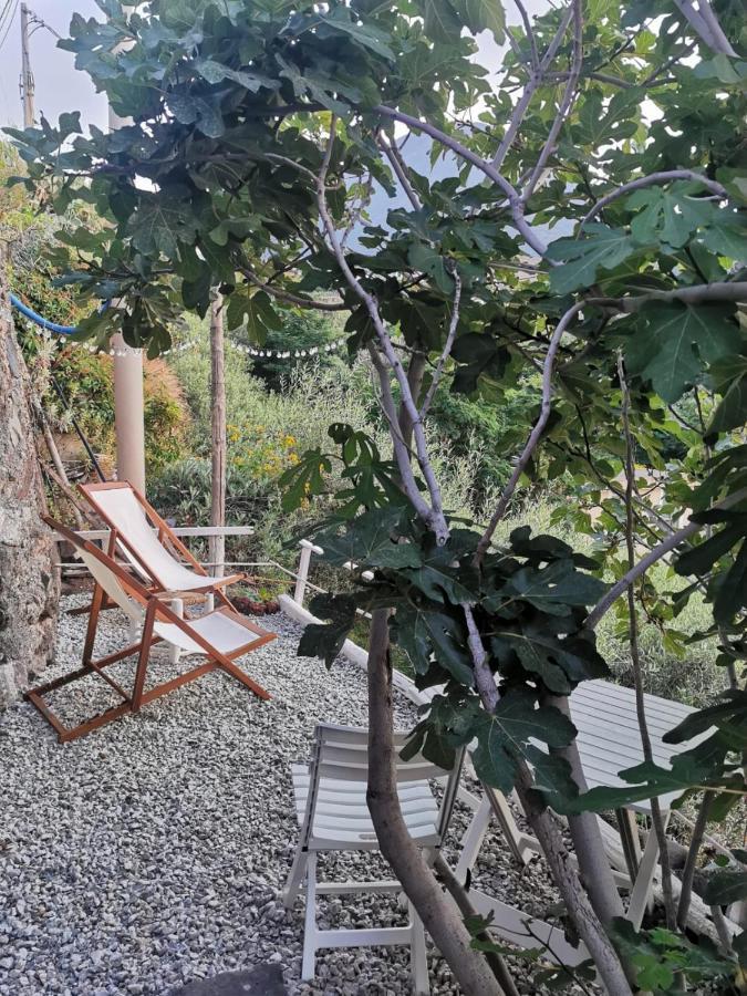 Casa Vacanze Lorenzo Villa Malfa Kültér fotó